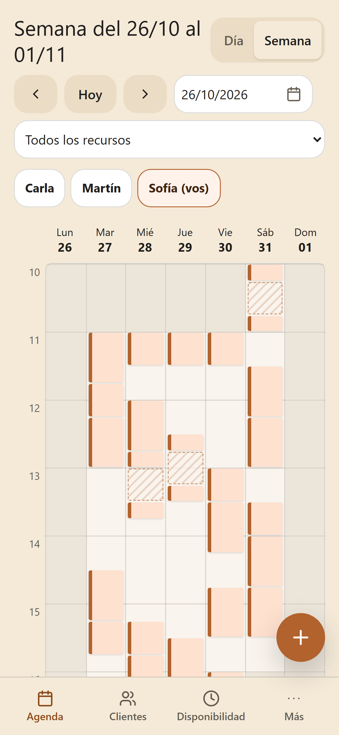 La semana de Sofía en el celular, con sus turnos y las esperas rayadas en las que queda libre.